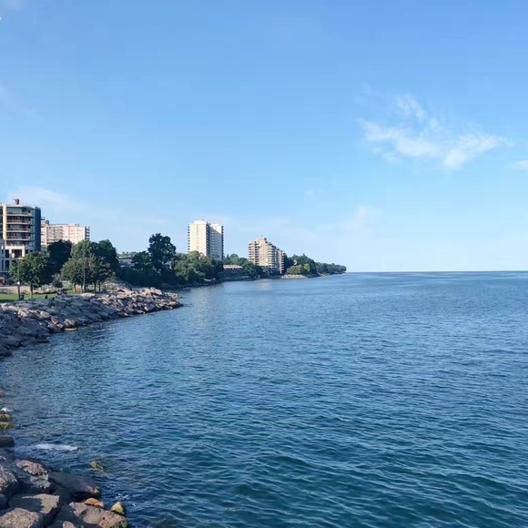 Meet your Posher, Sophie - Picture 1 of 1